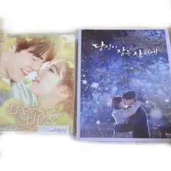 むやみに切なく DVD-SET2〈5枚組〉　あなたが眠っている間に　ペスジ　韓国