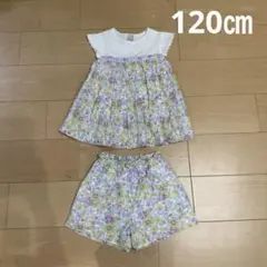 プティマイン　120 トップス　パンツ　セットアップ　花柄