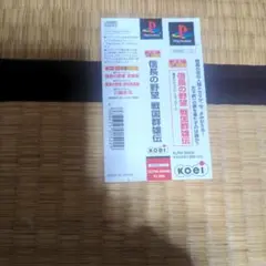 PS信長の野望戦国群雄伝