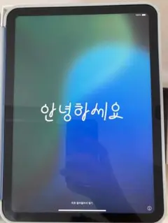 iPad(第10世代)256g 100%