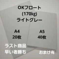 OKフロート(170㎏)ライトグレーA4.20枚、A5.40枚ラスト商品‼️珍品