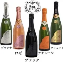 ◆初売SALE◆超希少★soumei ダミーボトル各種セット
