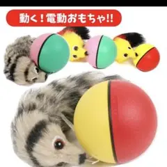 1300円　じゃれっこモーラー
