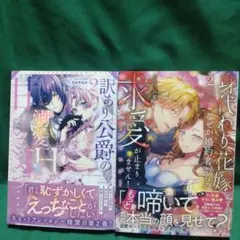 訳あり公爵の溺愛Hが甘すぎます…ッ 2巻その他1冊セット