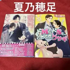 BL小説 夏乃穂足「蜜月ライブラリー」他