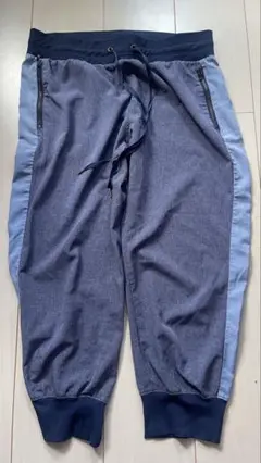 GapFit パンツ ネイビーとライトブルー