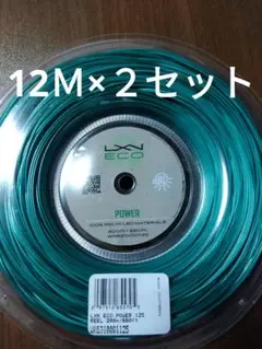 ルキシロン エコパワー125 12Ｍ×２セット