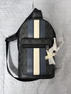 Item thumbnail for item 0c9d7c7e-f6b4-4f1d-b765-12d0ea25e2d2