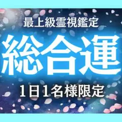 総合鑑定 総合運 恋愛運 仕事運 人間関係 金運 魂の状態 スピリチュアル 占い