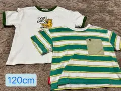 【MAKE YOUR DAY】　120cm Tシャツ