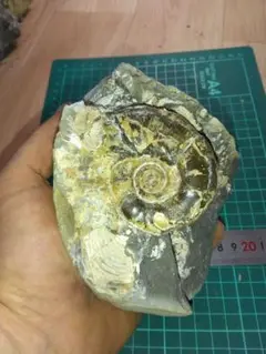 Item thumbnail for item 87c72be9-d56e-476c-9e04-fc3fbebe68da