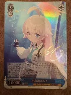 ヴァイスシュヴァルツ　ブルーアーカイブ　小鳥遊ホシノ　ＳＰ　PSA10 鑑定品 ヴァイスシュヴァルツ ブルーアーカイブ 小鳥遊ホシノ SP
