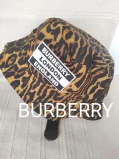 Item thumbnail for item 51dfd630-855a-4f91-9d9a-de736d224282