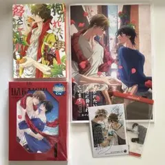 桜日梯子　劇場版 抱かれたい男1位に脅されています。Blu-ray コミック6巻