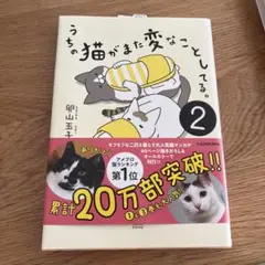 うちの猫がまた変なことをしてる。2