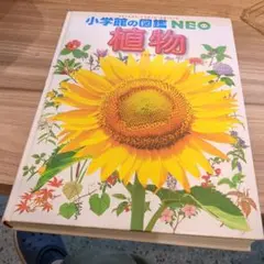 小学生の図鑑NEO 植物