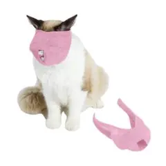 Item thumbnail for item 14331301-40a9-4e2e-b73e-f9622e7e0995