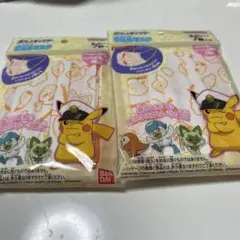 ポケモン不織布マスク 7枚入り　2袋セット