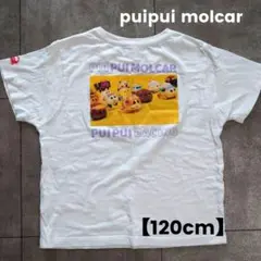 【120cm】PUI PUI MOLCAR 半袖Tシャツ キッズ ホワイト