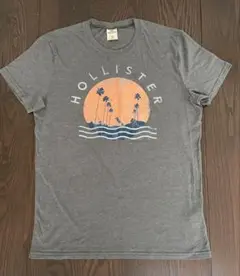 Hollister ホリスター☆ 未使用美品　メンズTシャツ Mサイズ