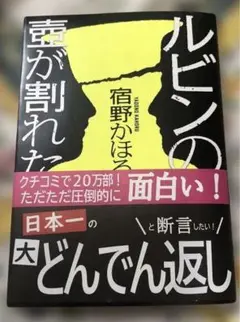 ルビンの壺が割れた　宿野かほる