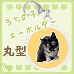 Item thumbnail for item 21961c70-115f-474f-bfbd-c1a30af31e69