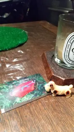 エルベシャプリエSHOPカード