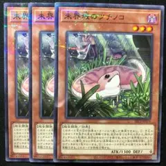 未界域のツチノコ 3枚
