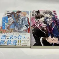 勇者パーティーを追放、引退、そして若返った二度目の人生でも…他　ＢＬ小説2冊売