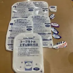 ブルガリア キャンペーンマーク
