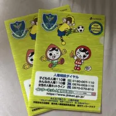 栃木SCクリアファイル