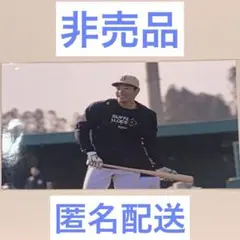 【完売商品】麦谷祐介 オリジナル写真② 2025年 オリックス・バファローズ