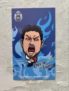 横浜DeNAベイスターズ 青炎シリーズ　　カード