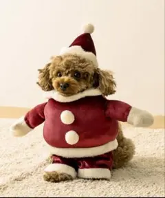 Item thumbnail for item f28c1f87-3343-463c-9c26-dba008d2bb1b