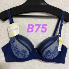 【最終処分】【新品】ワコールブラジャー ウイングfufu グッドアップブラB75