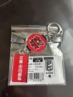 Item thumbnail for item 73684336-9710-47f3-9307-19f71cf95dd8