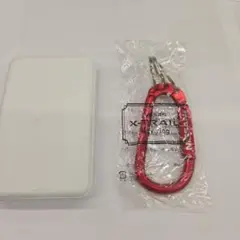 エクストレイル カラビナキーリング