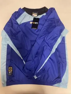 Item thumbnail for item e1e8cda1-16b9-41a9-b808-e9baf14b2e10