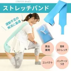 トレーニングチューブ シェイプアップ エクササイズバンド ストレッチ ゴムバンド
