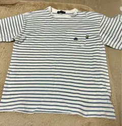 SCANDINAVIAN FOREST Tシャツ Mサイズ