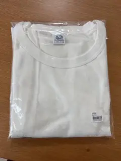 【新品】フルーツオブザルーム 5分袖 8.4oz BIG Tシャツ