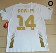 Item thumbnail for item 1da361d3-ecae-48a8-a360-6b6d56d9f9d8