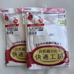 GUNZE 抗菌防臭加工 下着 92-100ももひき　2枚