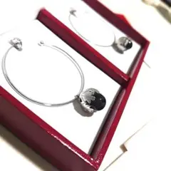 廃盤品 Baccarat バカラ ミュルミュール フープピアス ミスト 925
