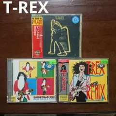 T. REX Electric Warrior 他　CD3枚セット　マークボラン