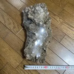 Item thumbnail for item 56ea4e09-6c8a-4f76-b782-18f65959d4ee