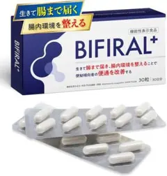 Item thumbnail for item 3929d978-24e7-4060-89da-d78c762e7d6b