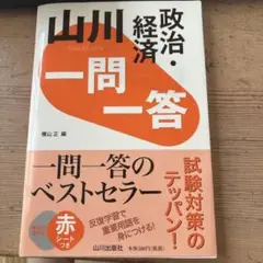 山川 一問一答政治・経済