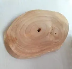 Item thumbnail for item 2aec1bff-eaeb-42db-bd8d-945e5306a729