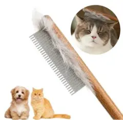 Item thumbnail for item 1a414844-2d04-4120-8701-3707f0d2983a